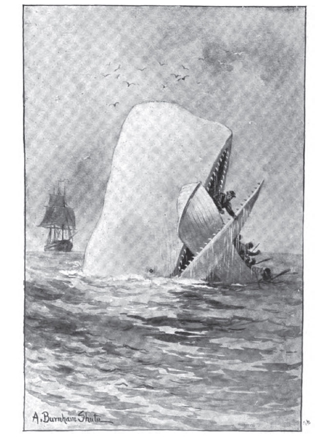 The White Whale smashing a whaleboat, illustration by A. Burnham Shute